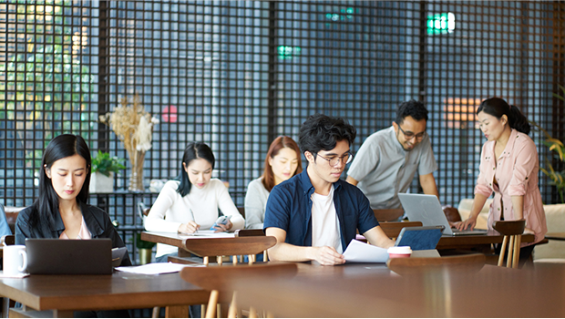 Our Research Team
